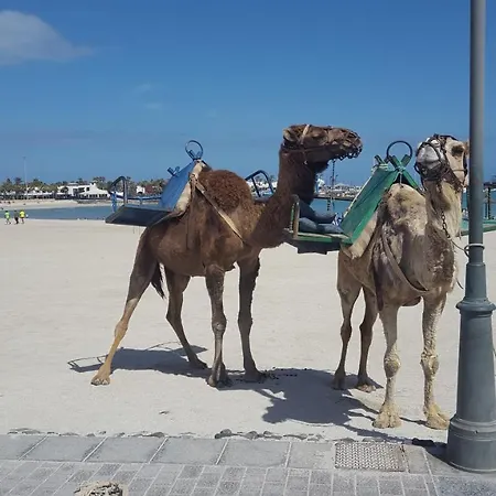 Beautiful Coastline Bungalow Near The Ocean 50 M *