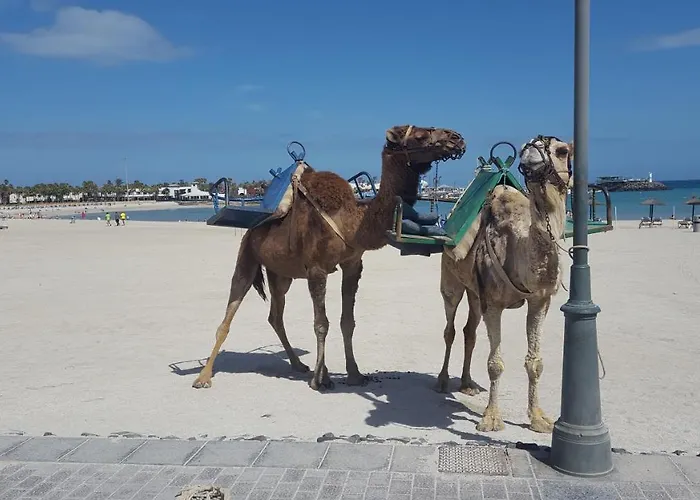 Beautiful Coastline Bungalow Near The Ocean 50 M *